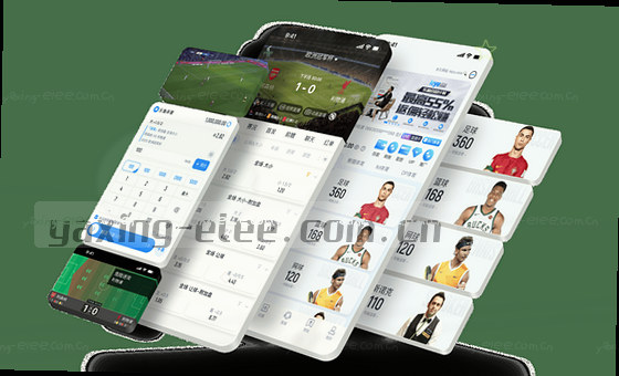 卡片2图片：数据洞察分析图