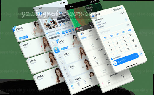数据档案·记忆珍藏